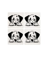PEEKING DALAMATION Coasters - $35.00