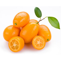 “ 50 PCS BELLFARM Kumquat Seeds, Golden Orange Cumquats Kinkan Golden Tangerine  - £9.41 GBP