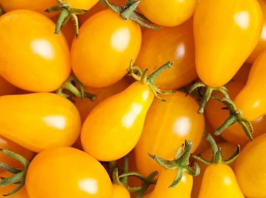 Yellow Plum Tomato Seeds 15 Per Pkt . Flavorful Preserves &amp; Salads Fresh... - £5.45 GBP