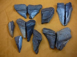 (SW11-4) TWO POUNDS Fossil Shark Tooth teeth MEGALODON partial sharks fragments - £44.82 GBP