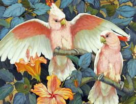 Framed Canvas Art Print Giclee Pink Cockatoos Hibiscus Garden Jessie Arms Botke - £31.14 GBP+