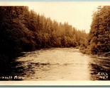RPPC Quinault River Quinault Washington WA Ellis Photo 459 UNP Postcard F16 - $12.82