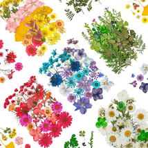 ODDAVA Dried Pressed Flowers, 170+ Pcs Mixed Dried Flowers for Resin, Bulk Natur - £20.18 GBP