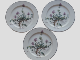3 Villeroy &amp; Boch Botanica Salad Plates Thymus Pulegioides Roots Purple ... - $34.64
