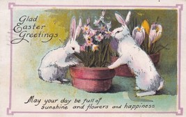 Easter Greetings Rabbits Flower Pots 1931 Sweet Springs MO Postcard B30 - £2.39 GBP