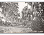 Cocoanut Avenue Street View Couva-Tabaquite-Talparo Tobago BWI UDB Postc... - £27.35 GBP