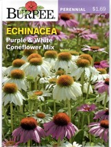 GIB Echinacea Purple &amp; White Coneflower Mix Flower Seeds Burpee  - £7.14 GBP