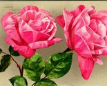 Vintage Floral Postcard No. 1973 Rainbow Pink Ed Mitchell Pub - $12.42
