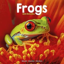 Frogs 2025 Square Wall Calendar | Animal, Reptile Calendar: Original Avo... - £13.05 GBP