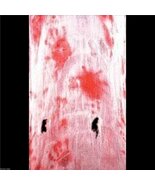 Haunted House Morgue-BLOODY CREEPY CLOTH-Halloween Prop Table Door Decor... - $3.93