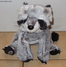 Ganz Webkinz Raccoon 9&quot; plush Stuffed Animal toy - £7.63 GBP