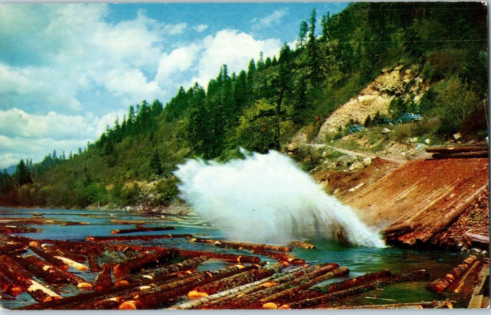 The Log Pond Scenic Art California Postcard - $3.67