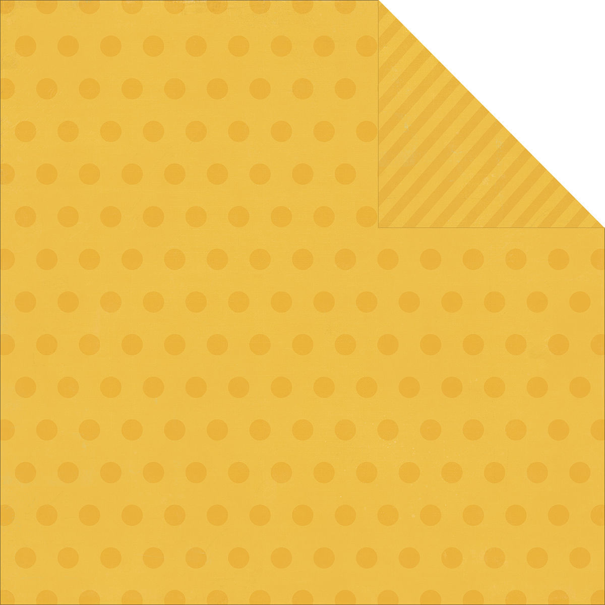 Say Cheese Collection 12 X 12 Double Sided Paper Yellow Dots - $50.49