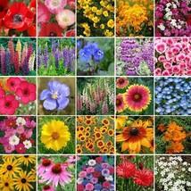 LWSTORE Wildflower Mix Pacific Northwest Regional Flowers 25 Species Non Gmo 100 - $9.42