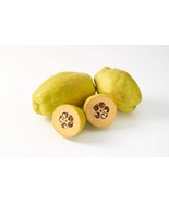 20 Chinese Quince Fruit Tree Chaenomeles Sinensis Thornless Heirloom Seeds - €11,94 EUR