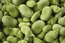 ArfanJaya Bean Mix Garden Seed Collection Heirloom Seeds 6 Top Varieties - $19.24