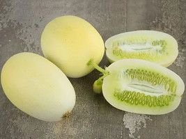 10 Dragons Egg Cucumber Seeds Fast Fresh Seeds - £11.79 GBP