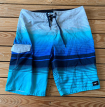 O’Neill men’s stripe knee length swim trunks size 30 blue X8 - £10.02 GBP