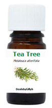 Tea Tree Oil 5mL – Promotes Purity and Cleansing, Antibacterial (Sealed) - £4.95 GBP