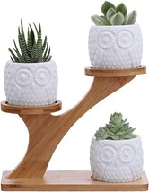 3pcs Owl Succulent Pots with 3 Tier Bamboo Saucers Stand Holder - White Modern D - £21.42 GBP
