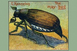 The May Bug &#39;L&#39;hanneton&#39; - Art Print - £17.57 GBP+