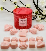 Bath and Body Works You&#39;re the One Wax Melts 10-Pack - £8.95 GBP+
