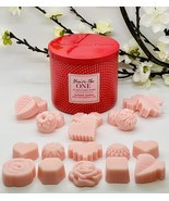 Bath and Body Works You&#39;re the One Wax Melts 10-Pack - $15.79 CAD+