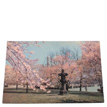 Postcard Japanese Lantern Used In Cherry Blossom Cermonies Chrome Unposted - £5.51 GBP