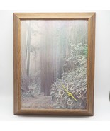 Vintage Redwood Foresta Scene Stampa Orologio da Parete 1970&#39;s - £94.95 GBP