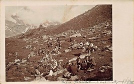 Austria ~ Grande Gruppo Di People Escursioni Su MOUNTAIN-1937 Vero Foto - £5.66 GBP