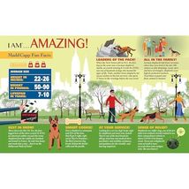Item image 13