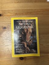 Magazine - December 1982 (Lions Cover) - $48.95 MXN