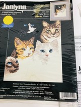 Janlynn Cat&#39;s Eyes Counted Cross Stitch Vintage 1998 9x12 #13-249 New/Op... - £32.41 GBP