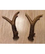 Antlers Horns Deer Buck Decoration Naturally - £11.08 GBP