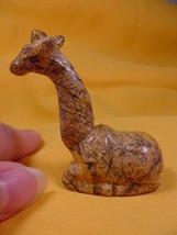 (Y-GIR-SI-700) GIRAFFE giraffes tan PICTURE JASPER gem carving FIGURINE ... - $17.53