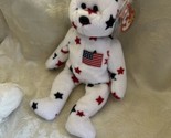 Ty Glory the Bear Plush Toy - 1998  NOS  tags - $24.74