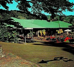 Manoa Valley Hawaii HI Waioli Tea Room Unused UNP Chrome Postcard Q13 - £2.30 GBP