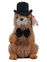 Punxsutawn-e Phil 2004 TY Beanie Baby, MWMT Ty Store Exclusive - £5.48 GBP