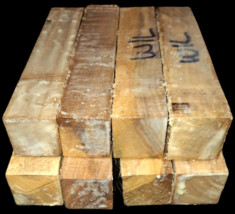 ONE (1) PIECE BEAUTIFUL WILLOW TURNING BLANKS LUMBER WOOD LATHE 3&quot; X 3&quot; ... - $24.70