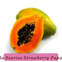 5889 solo sunrise strawberry papaya pop thumb200