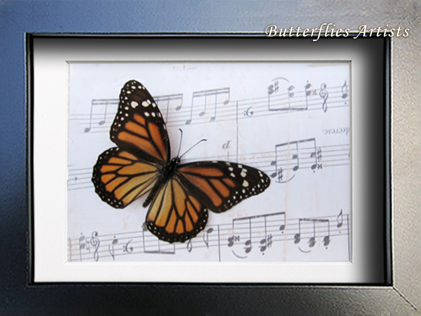 Monarch Butterfly Danaus Plexippus Vintage Music Paper Art Collectible Shadowbox - $52.99