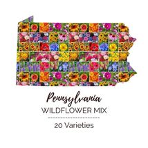 Wildflower PENNSYLVANIA State Flower Mix Perennials Annuals USA 1000 Seeds - £7.34 GBP
