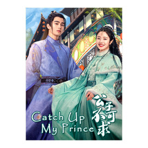 Catch Up My Prince (2023) Chinese Drama - £52.75 GBP