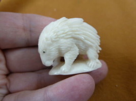 tb-porc-4 little white porcupine Tagua NUT palm figurine Bali carving Po... - $35.76