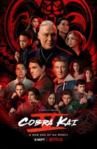 Cobra Kai TV Series Poster | Season 5 | 2022 | 11x17 | NEW | USA - £12.75 GBP