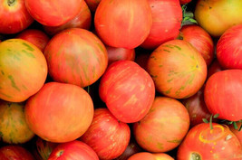 BEST 50 Seeds Easy To Grow Tigerella Tomato Juicy Vegetable Tomatoe - £7.99 GBP