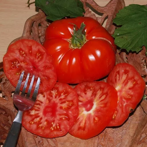 50 Seeds Super Marmande Tomato Vegetable Garden - $9.70