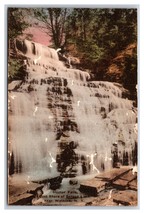 Hector Falls Seneca Lake Watkins New York  NY UNP Albertype DB Postcard W19 - £2.32 GBP
