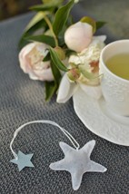 Star shaped Tea Bags (5) Baby shower gift Wedding Favor Tea and sea lovers gift  - £9.53 GBP