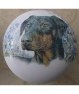 Cabinet Knobs Knob W/ Doberman Pincer Monica Heller DOG - €4,53 EUR
